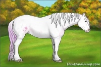Horse Color:Watercolor Bay Dun Splash Tobiano Blanket 