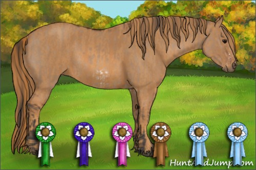 Horse Color: Bay Dun Splash Frame Rabicano  Brindle