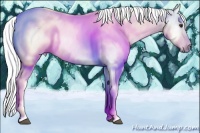 Horse Color:Gray Chestnut Tobiano 