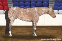Horse Color:Bay Ice Roan 
