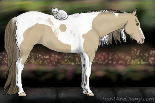 Horse Color: Classic Cream Champagne Tobiano 