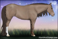 Horse Color:Sable Champagne 