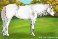 Horse Color:White Spotted Silver Black 