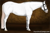 Horse Color:White Spotted Liver Red Dun Frame Blanket Rabicano 