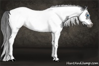 Horse Color:Black Splash Tobiano Frame 