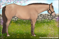 Horse Color:Amber Champagne 