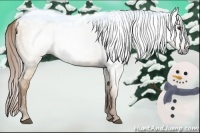 Horse Color:Gray Red Dun