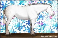 Horse Color:Gray Red Dun 