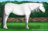 Horse Color:White Spotted Brown Roan Dun 