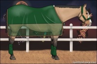 Horse Color:Bay Roan Dun Splash 