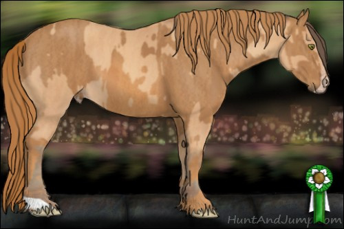 Horse Color: Amber Champagne  Brindle