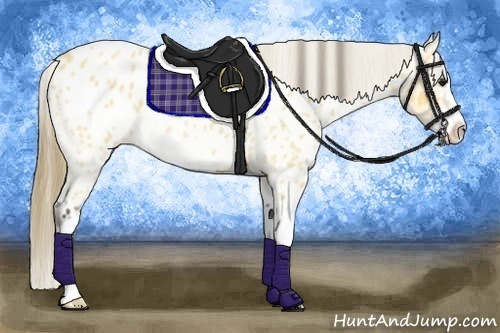 Horse Color:Buckskin Roan Splash Frame Appaloosa 