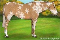 Horse Color:Palomino Ice Sabino