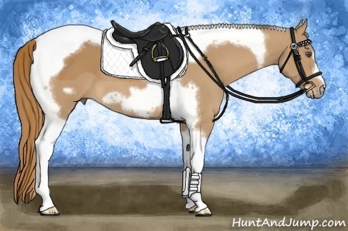 Horse Color:Chestnut Tobiano Frame