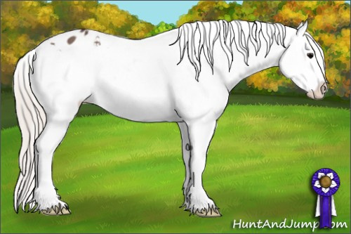 Horse Color: Silver Black Splash Snowflake Varnish 