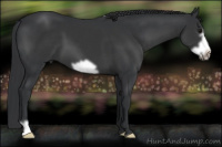 Horse Color:Brown Frame 