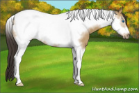 Horse Color:Buckskin Dun Tobiano Frame 