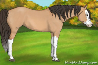 Horse Color:Bay Roan Dun Splash 