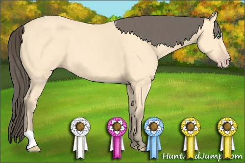 Horse Color: Unknown 