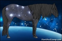 Horse Color:Blue Roan 