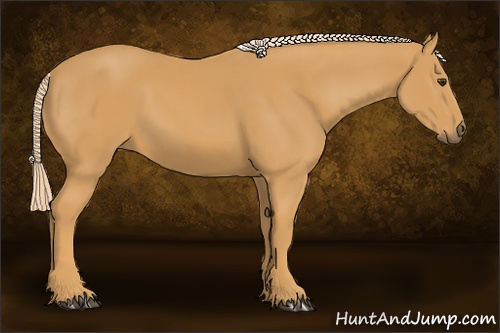 Horse Color: Palomino 