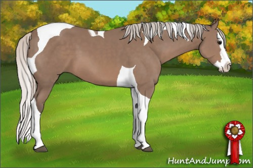 Horse Color: Silver Black Sabino Splash Tobiano 