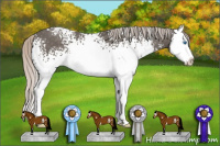 Horse Color:White Spotted Silver Black Sabino Splash 