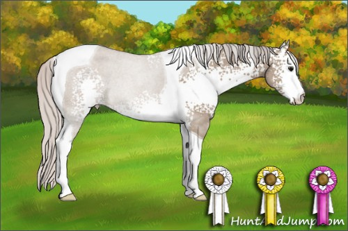 Horse Color: White Spotted Silver Grullo Tobiano Rabicano 