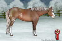 Horse Color:White Spotted Silver Black Splash Rabicano 