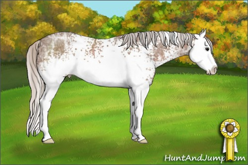 Horse Color: White Spotted Silver Black Ice Sabino Splash 