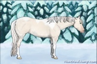 Horse Color:Silver Classic Champagne Ice Dun Sabino Tobiano 