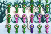 Horse Color:White Spotted Silver Black Ice Pearl Tobiano 