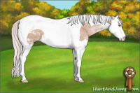Horse Color:Silver Black Ice Pearl Sabino Splash Tobiano 