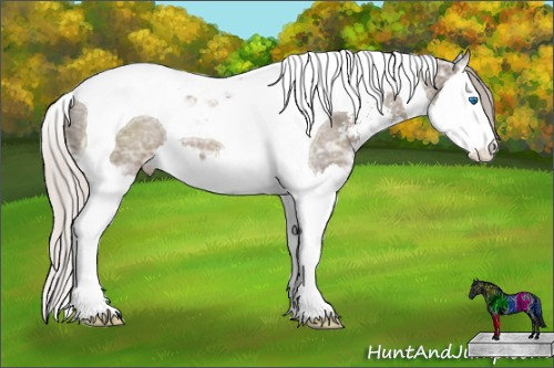 Horse Color: Silver Grullo Ice Sabino Splash Tobiano 