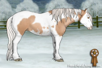 Horse Color:Silver Black Pearl Sabino Splash Tobiano 