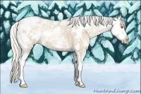 Horse Color:Silver Grullo Ice Pearl Sabino 