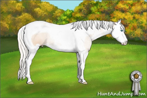 Horse Color: Silver Amber Champagne Pearl Sabino Splash Tobiano 