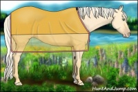 Horse Color:Gold Cream Champagne Dun 