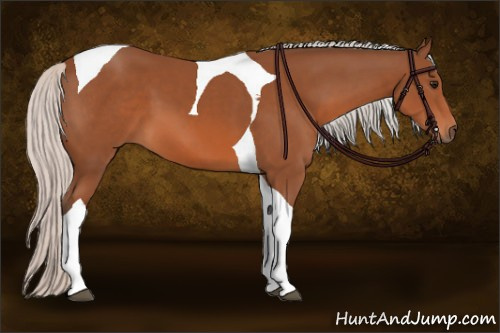 Horse Color: Silver Bay Tobiano 
