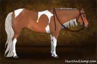 Horse Color:Silver Bay Tobiano