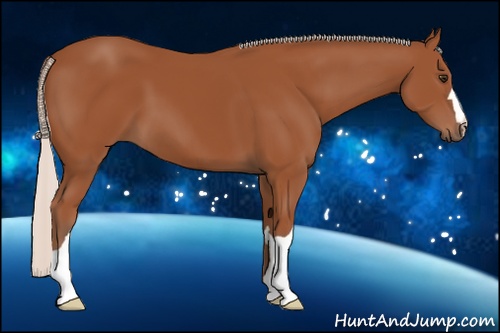Horse Color:Silver Bay 