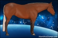 Horse Color:Silver Bay