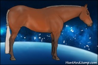 Horse Color:Silver Brown