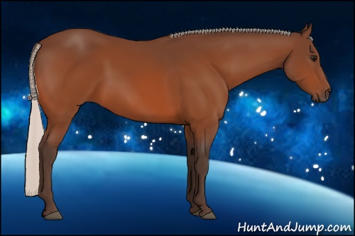 Horse Color: Silver Bay 