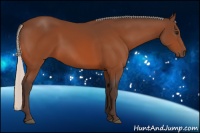 Horse Color:Silver Bay 