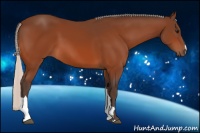 Horse Color:Silver Bay 