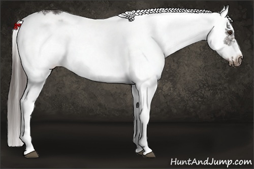Horse Color: White Spotted Liver Chestnut Frame 