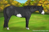 Horse Color:Black Frame