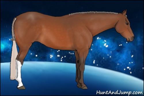 Horse Color: Silver Bay 