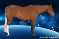 Horse Color:Silver Bay 